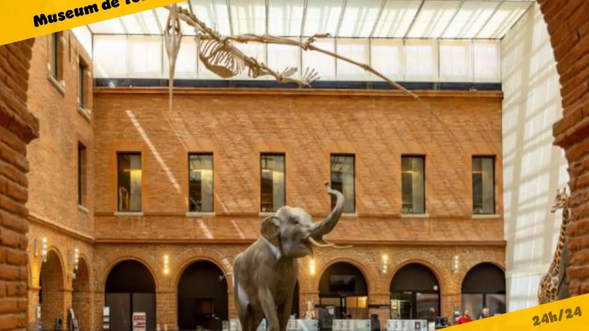 Le Petit Palais Au Calme Proche Metro/Tram • Wifi Daire Toulouse