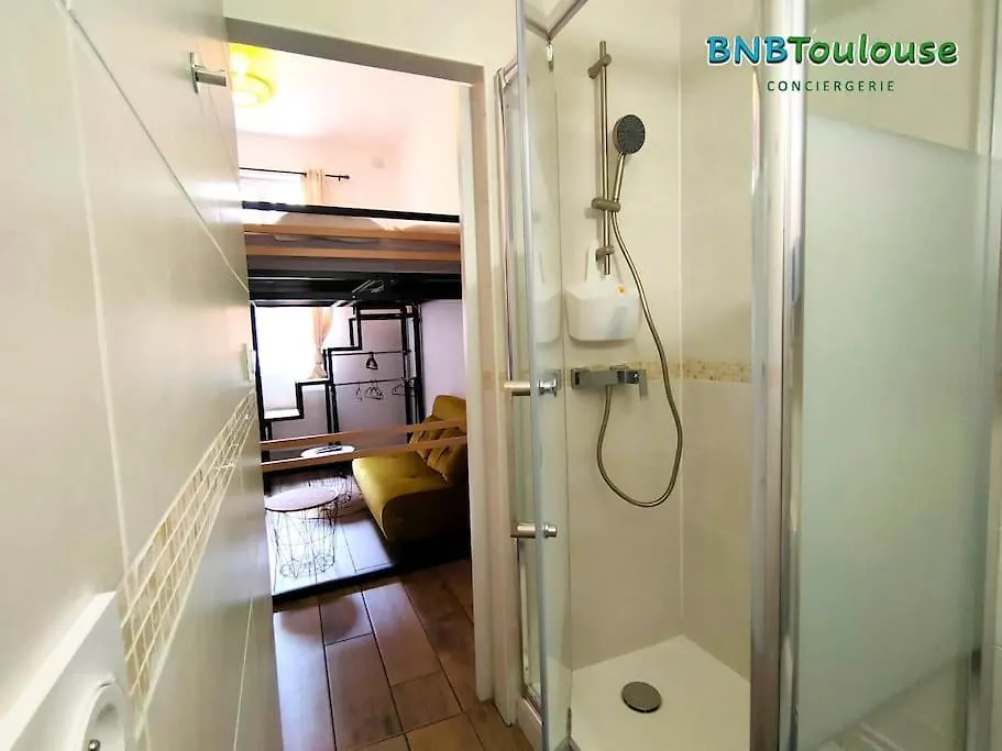 Apartamento Le Petit Palais Au Calme Proche Metro/Tram • Wifi Toulouse