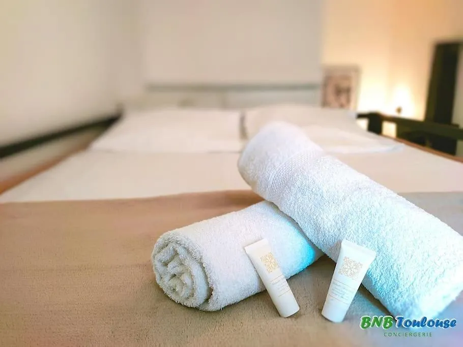 Apartamento Le Petit Palais Au Calme Proche Metro/Tram • Wifi Toulouse