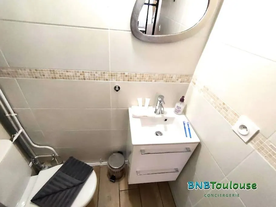 Apartamento Le Petit Palais Au Calme Proche Metro/Tram • Wifi Toulouse